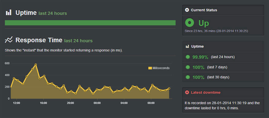 Uptime robot