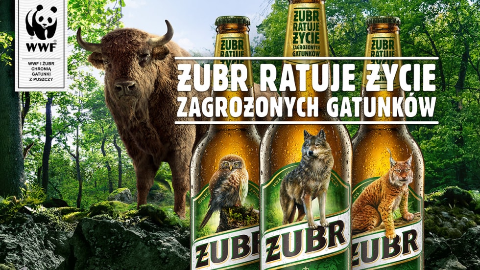 Ochrona środowiska - Żubr