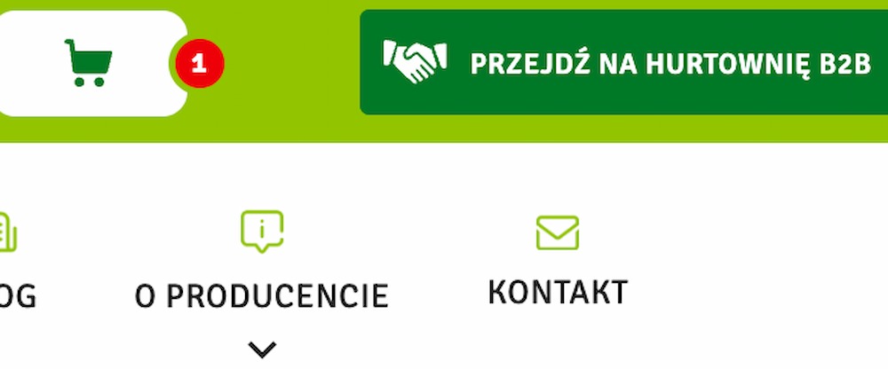 Natvita - responsywna strona internetowa